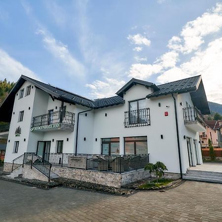 Pensiunea Paradisul Verde Moisei Zewnętrze zdjęcie