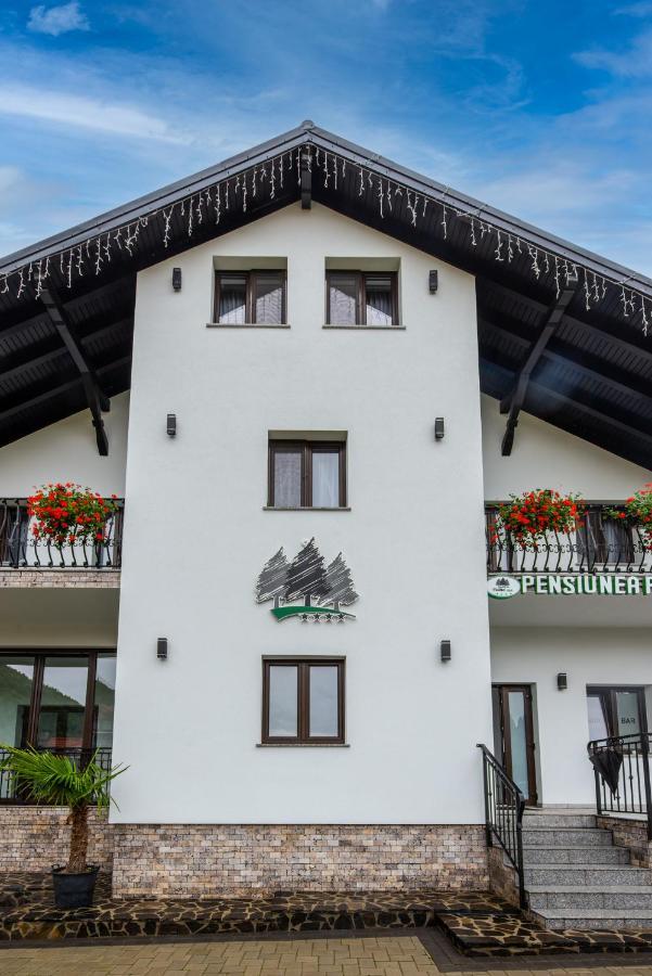 Pensiunea Paradisul Verde Moisei Zewnętrze zdjęcie