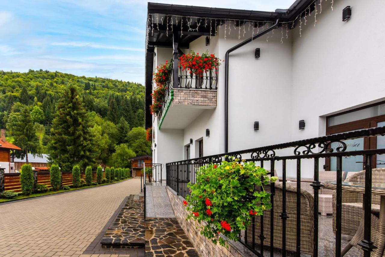 Pensiunea Paradisul Verde Moisei Zewnętrze zdjęcie