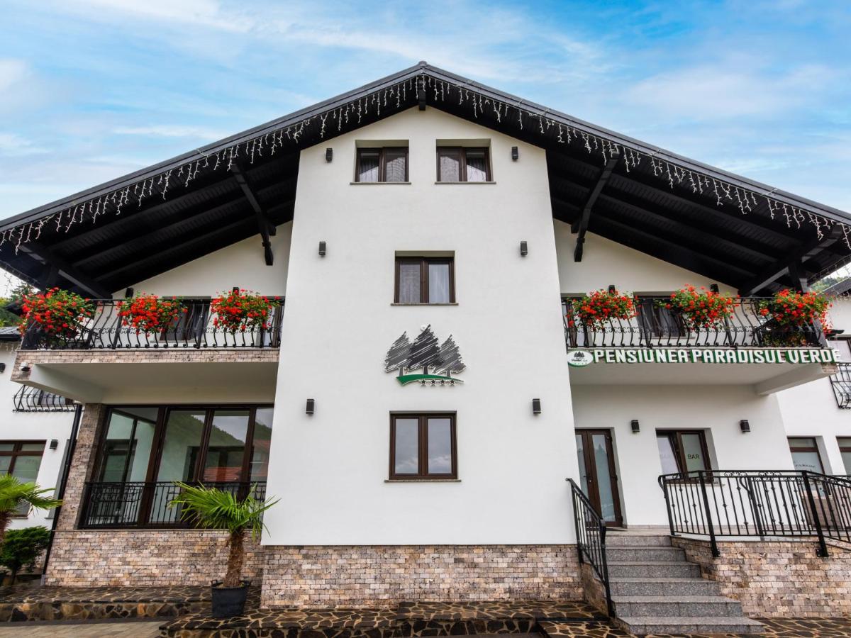 Pensiunea Paradisul Verde Moisei Zewnętrze zdjęcie