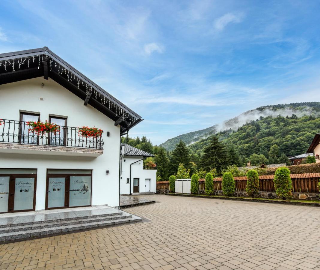 Pensiunea Paradisul Verde Moisei Zewnętrze zdjęcie