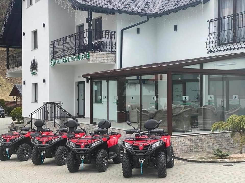 Pensiunea Paradisul Verde Moisei Zewnętrze zdjęcie